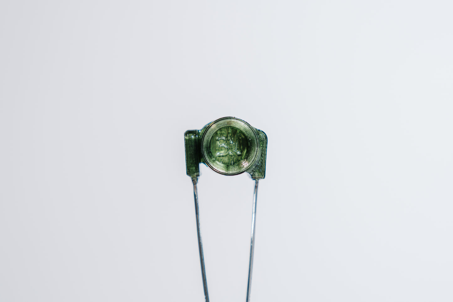 Translucent Pine🌲