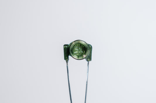 Translucent Pine🌲